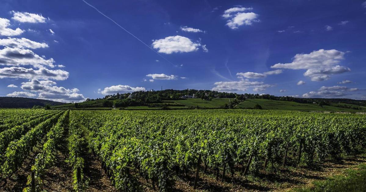 Hébergement de vacances Gite la Maison du Tonnelier, Route des Grands Crus Comblanchien